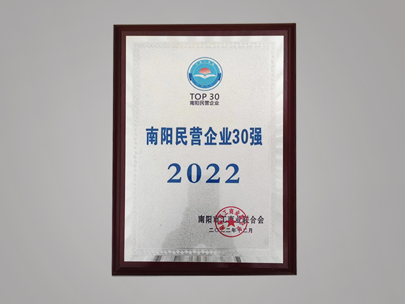2022 南阳民营企业30强